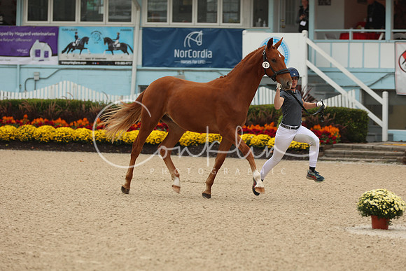 1H5A1042