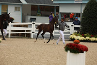 1H5A1111