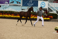 1H5A1131