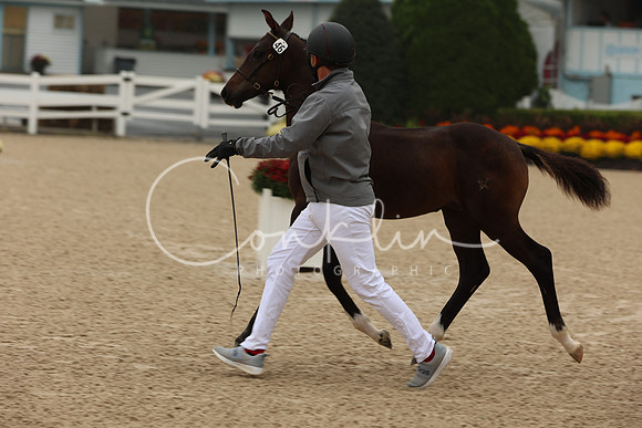 1H5A1149
