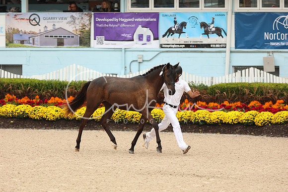 1H5A1505