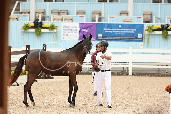 1H5A1487