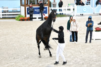 MAK_1465