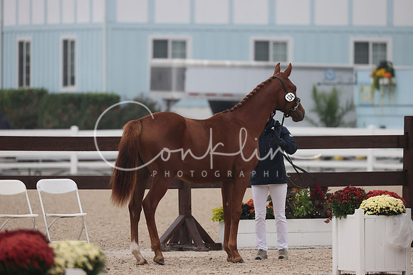 RJC33679