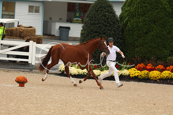 1H5A1751