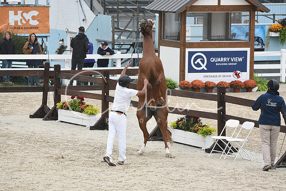 MAK_1978