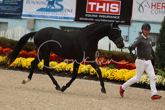 1H5A2332