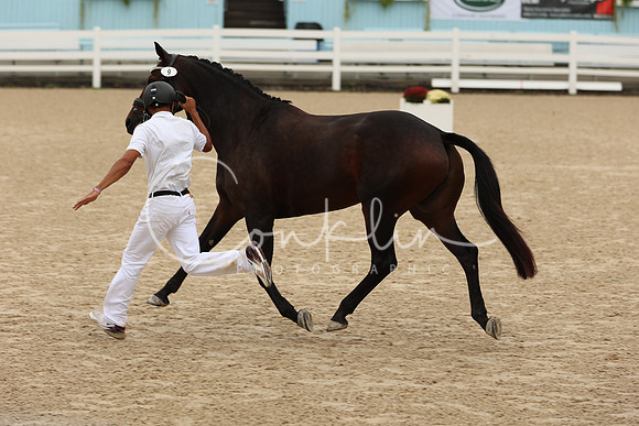 1H5A2011