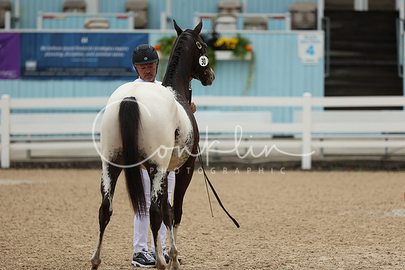 1H5A9643