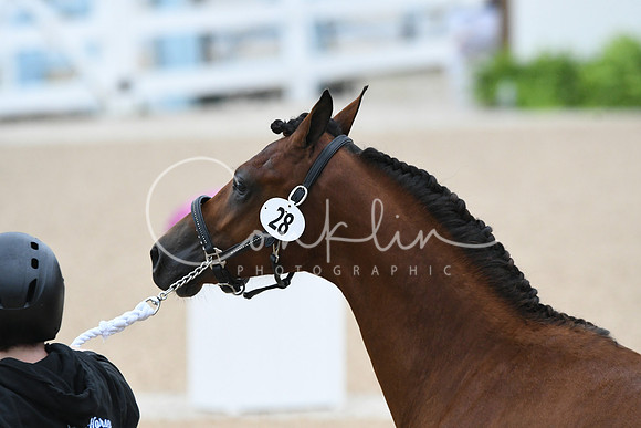 HSM_6039