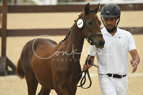 HSM_6077