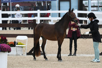 HSM_6090