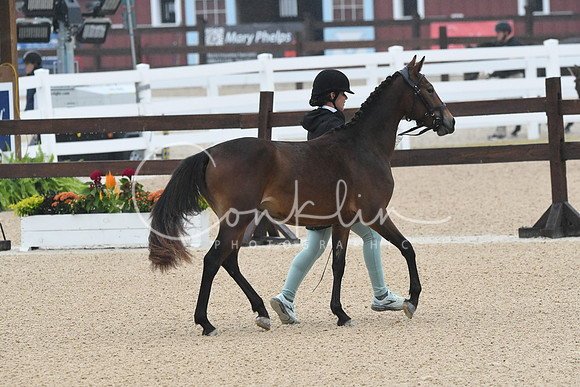HSM_6098
