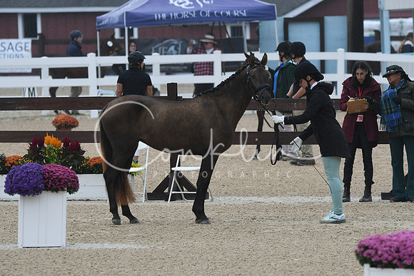 HSM_6138