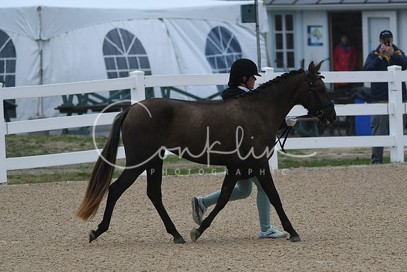 HSM_6134
