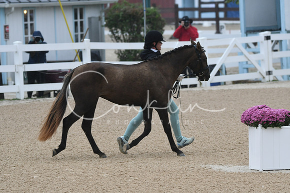 HSM_6135