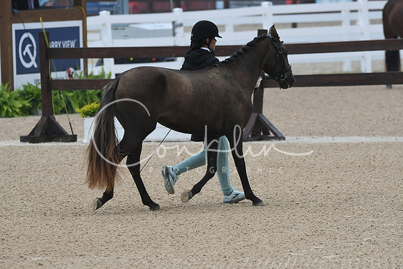 HSM_6136