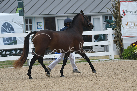 HSM_6171