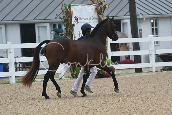 HSM_6172