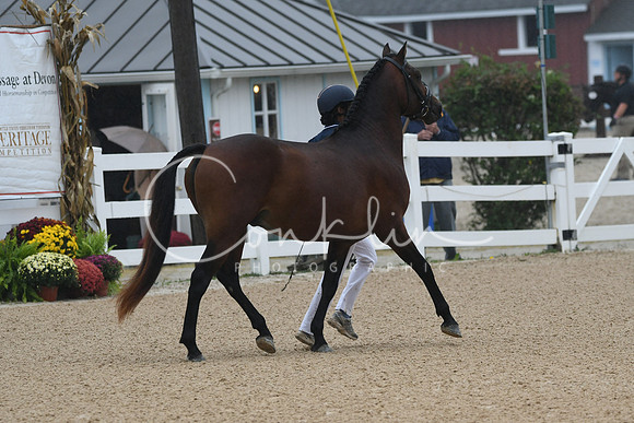 HSM_6173