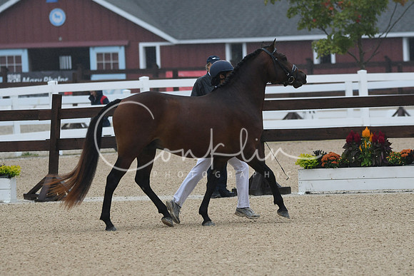 HSM_6175