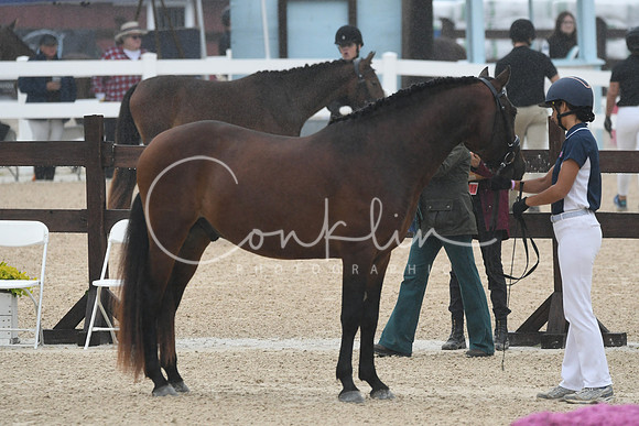 HSM_6164