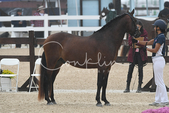 HSM_6165