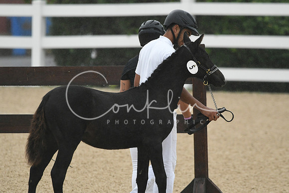HSM_6161