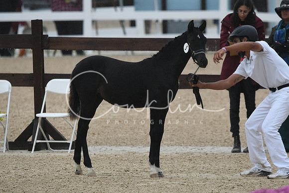HSM_6143