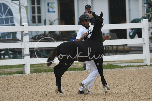 HSM_6152