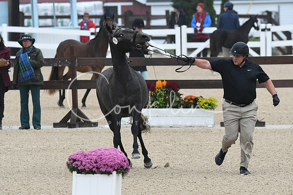 HSM_6059