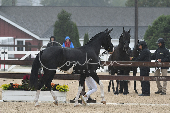 HSM_6201