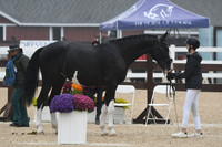 HSM_6188