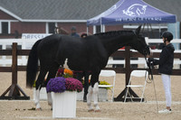 HSM_6189