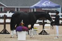 HSM_6190