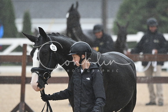 HSM_6193