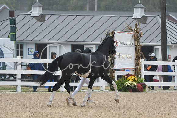 HSM_6195