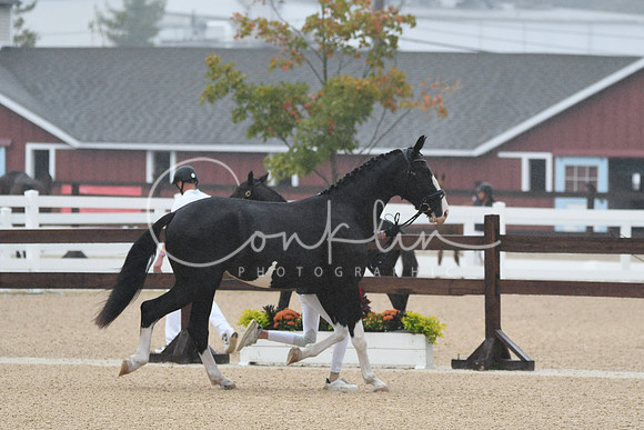 HSM_6198