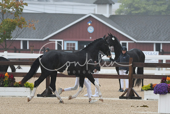 HSM_6199