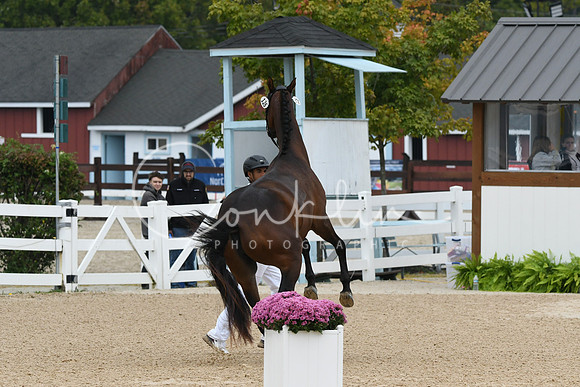 HSM_6312