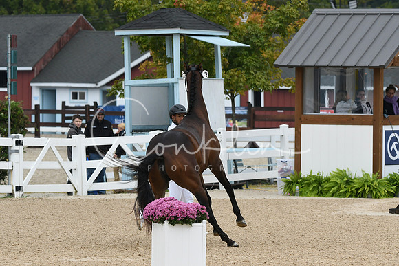HSM_6313