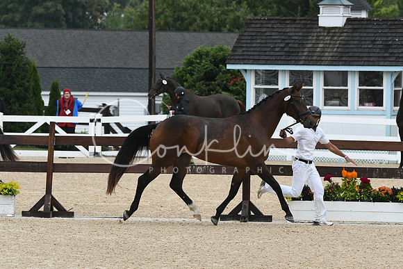 HSM_6314