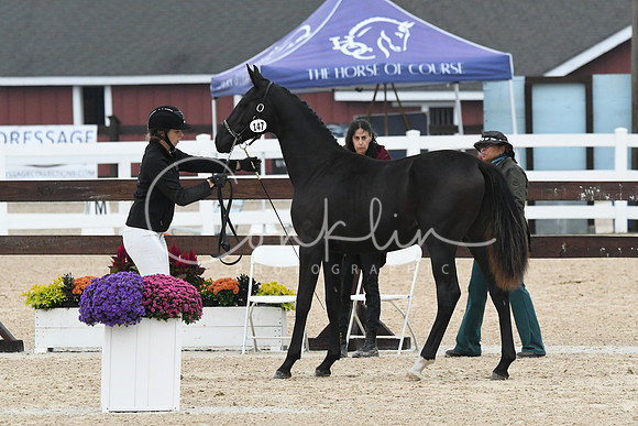 HSM_6419