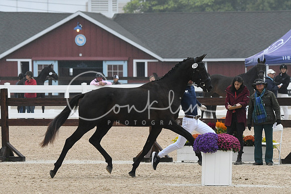 HSM_6391