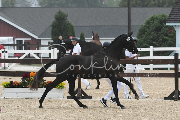 HSM_6392