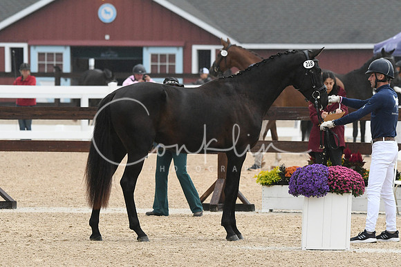 HSM_6383