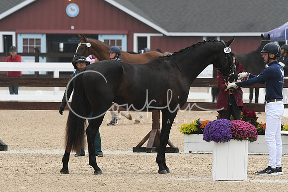 HSM_6384