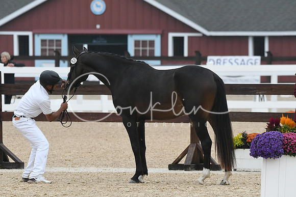 HSM_6341