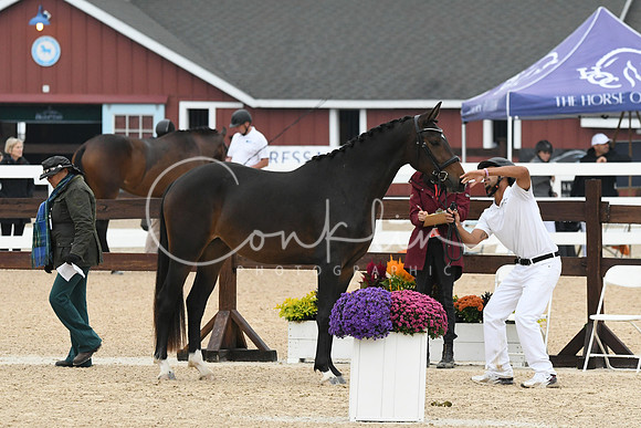 HSM_6322