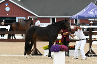 HSM_6323